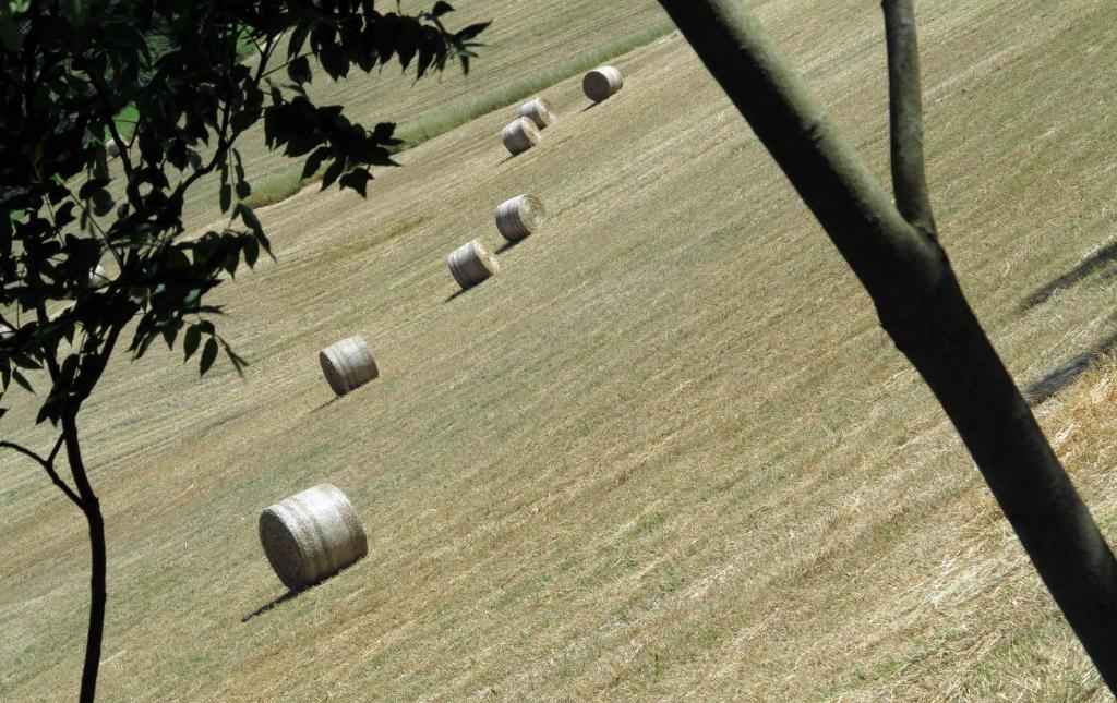 Penzion Il Vignolino Barberino di Mugello Exteriér fotografie